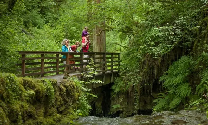 People enjoying a walk in the forest at Forest Park (TravelPortland, 2022)